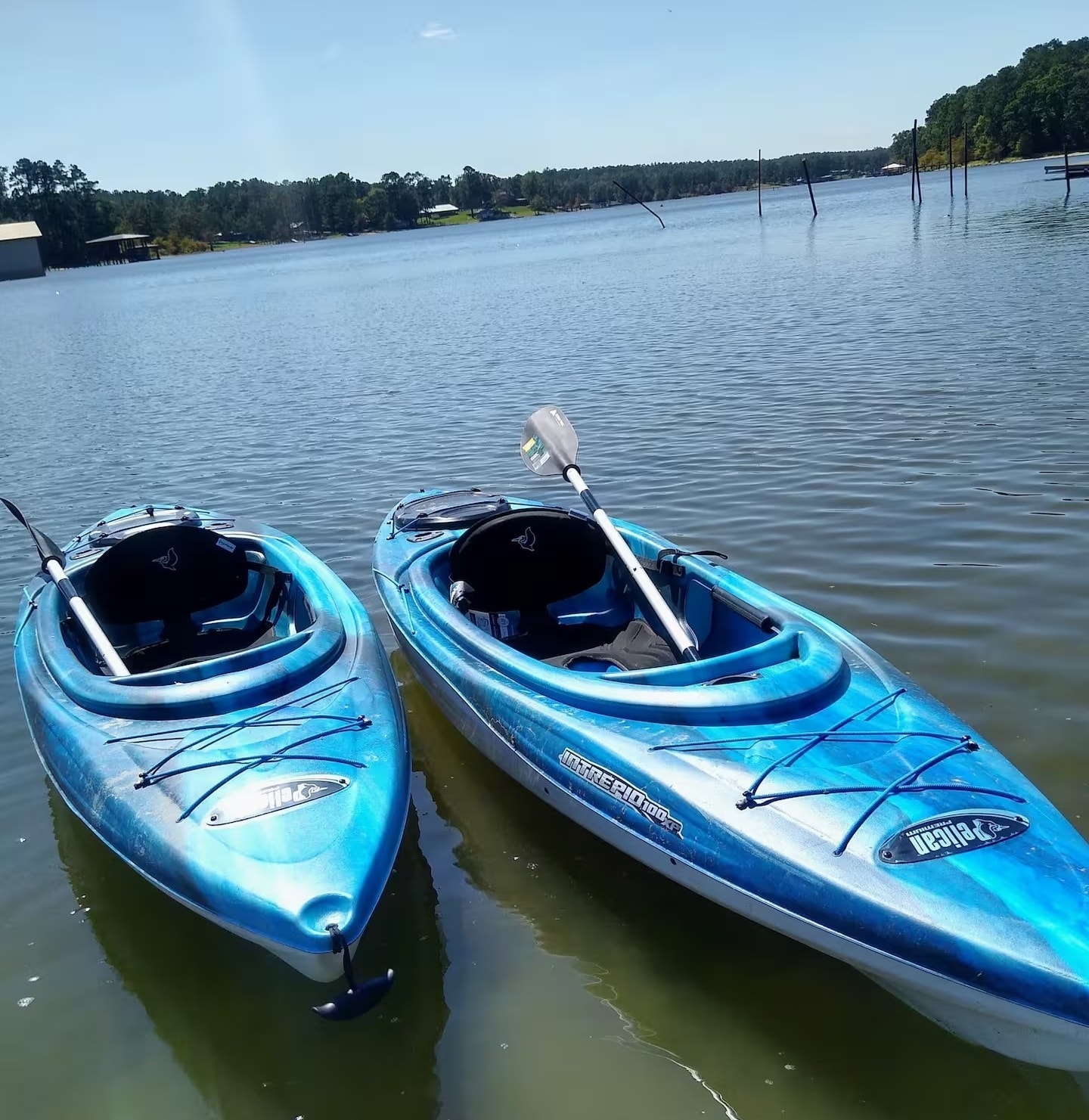 Aerial view of Toledo Bend lake